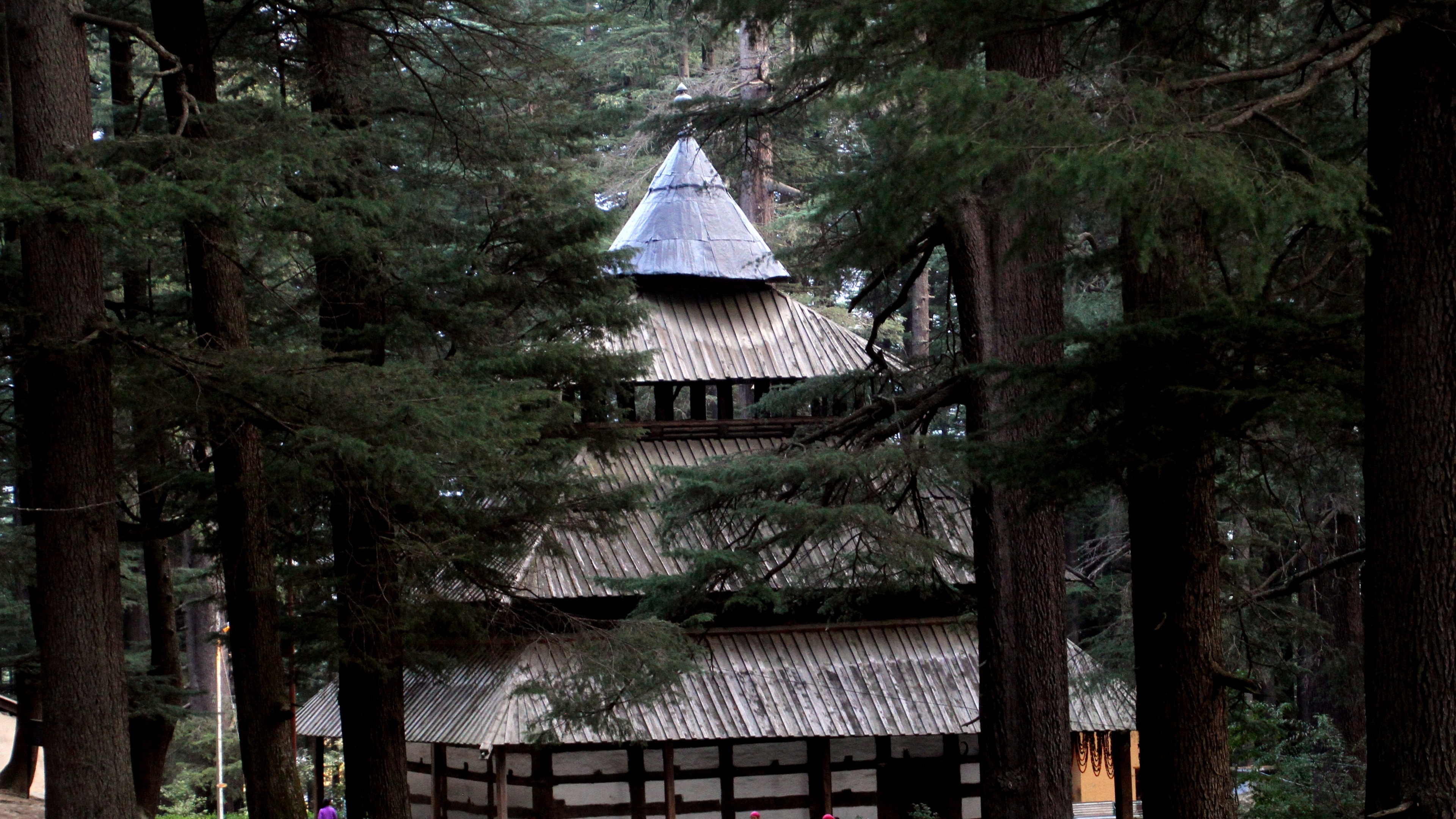 Ancient Hadimba Devi Mandir nestled in towering Deodar forest, Manali